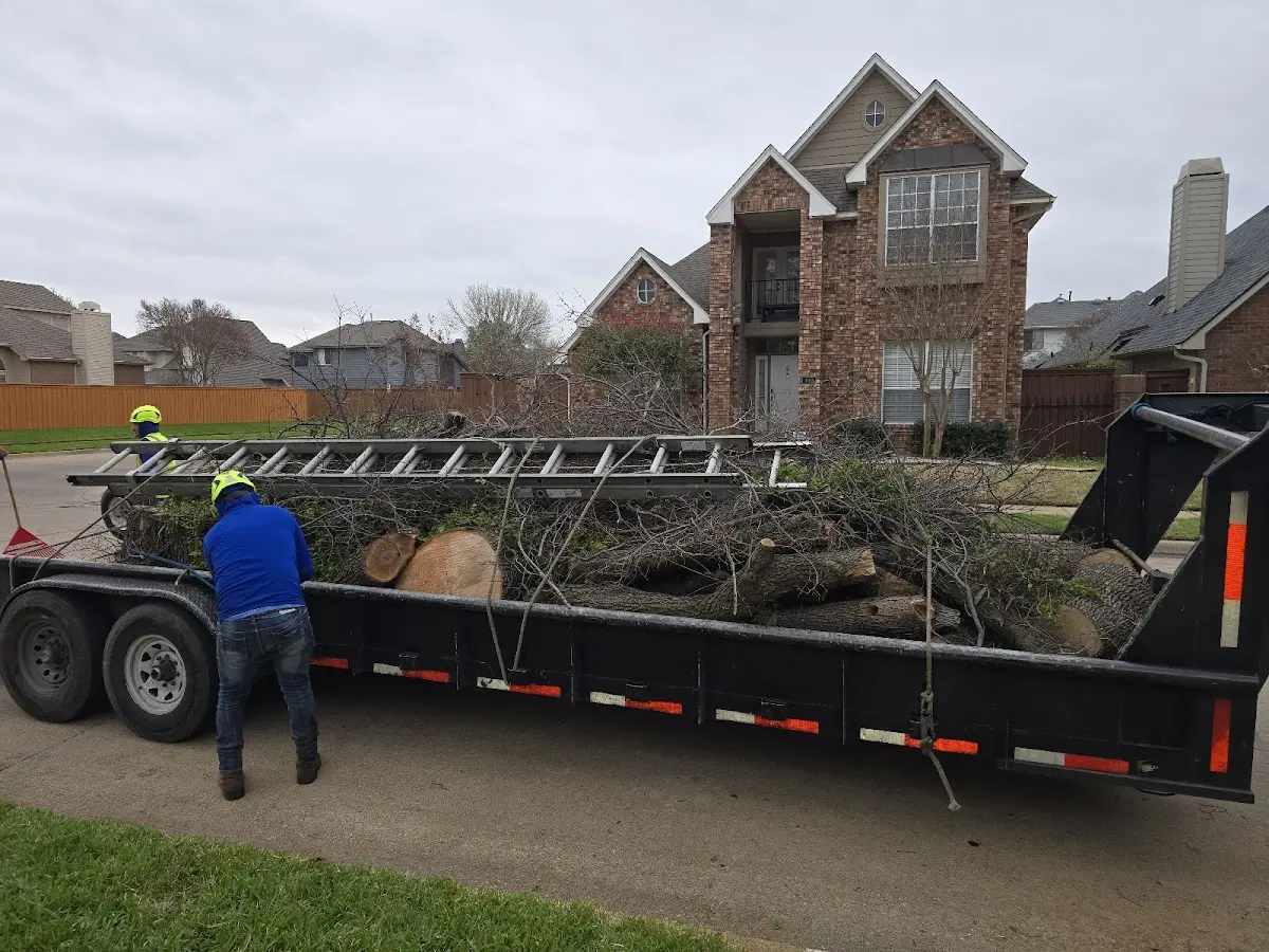 Expert Tree Fertilization with proper safety equipment in Somis